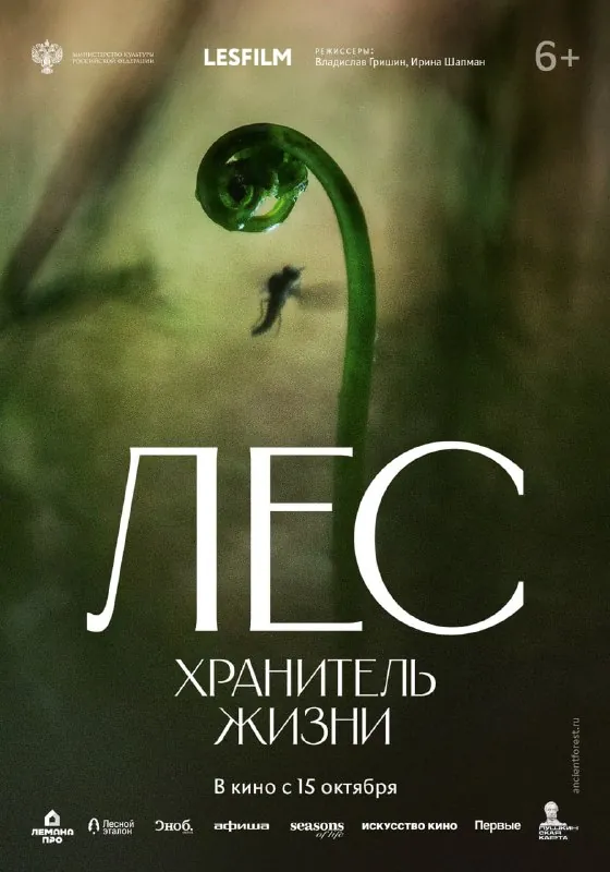Ребята, в российский прокат уже в четверг 15 октября выходит удивительный фильм.