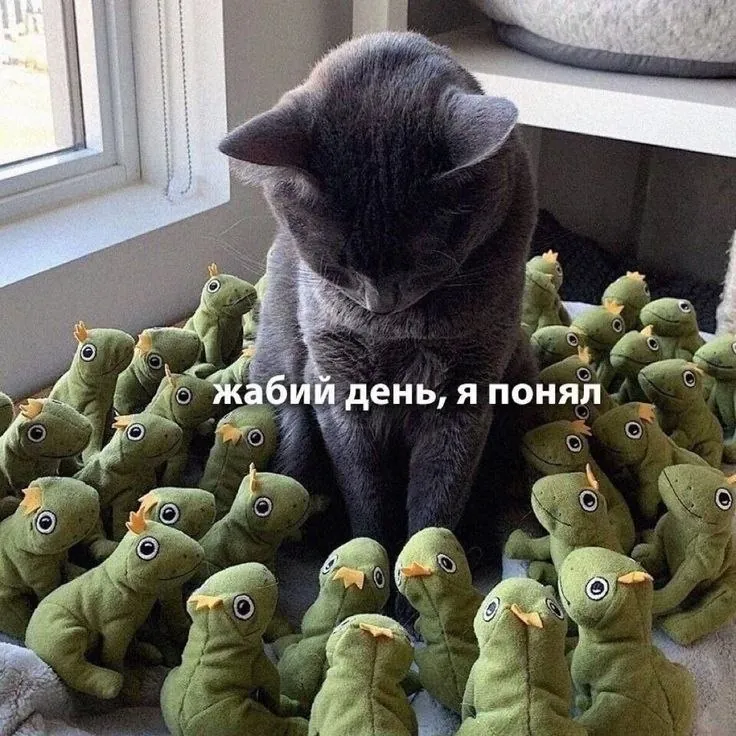 Угадайте что 😄