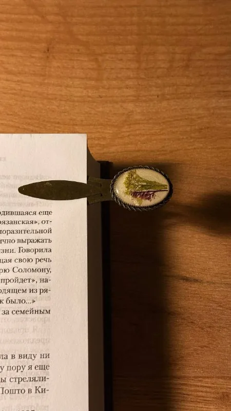 🤩🌺📖🌿🌿 вечер воскресенья.