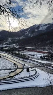 В первый раз я увидел цикламены в живой природе в ноябре.
