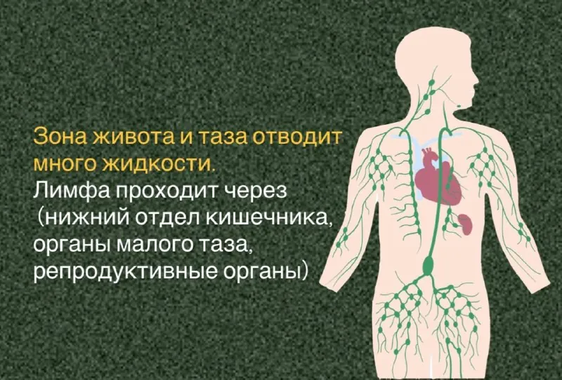 Я ВСЕГДА ГОВОРЮ: