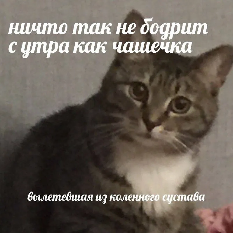 В силу того, что сейчас многие открывают в себе бегунов, осторожно напоминаю:
