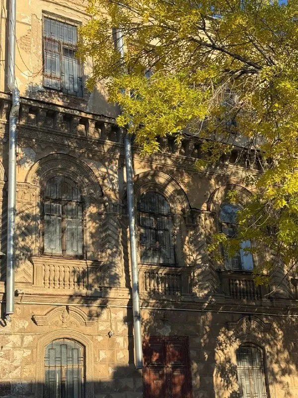 очень круто, что прогулки пока бесплатные 💛