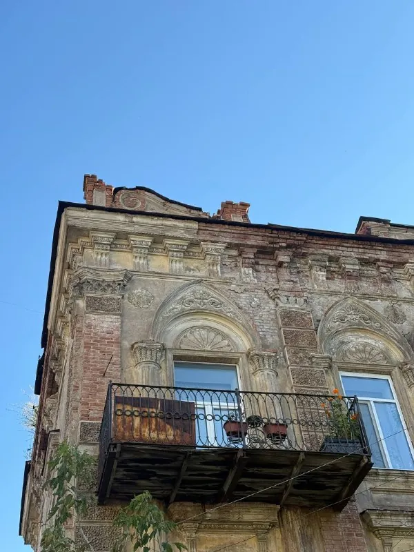 очень круто, что прогулки пока бесплатные 💛