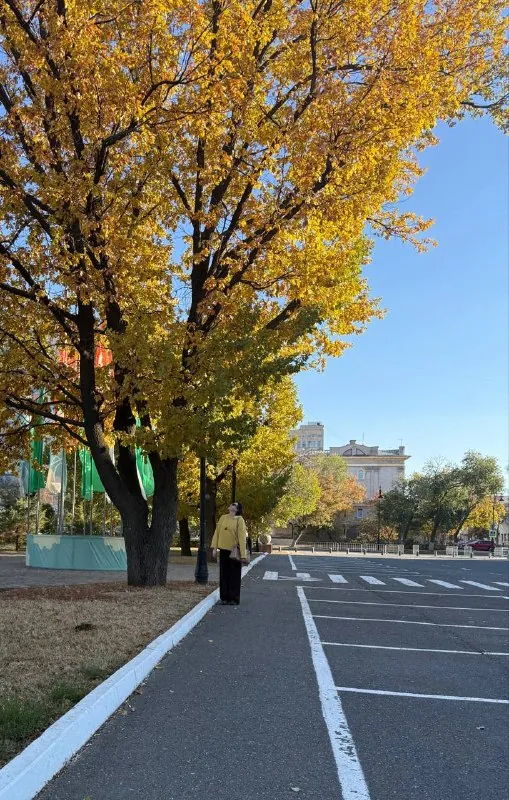 очень круто, что прогулки пока бесплатные 💛