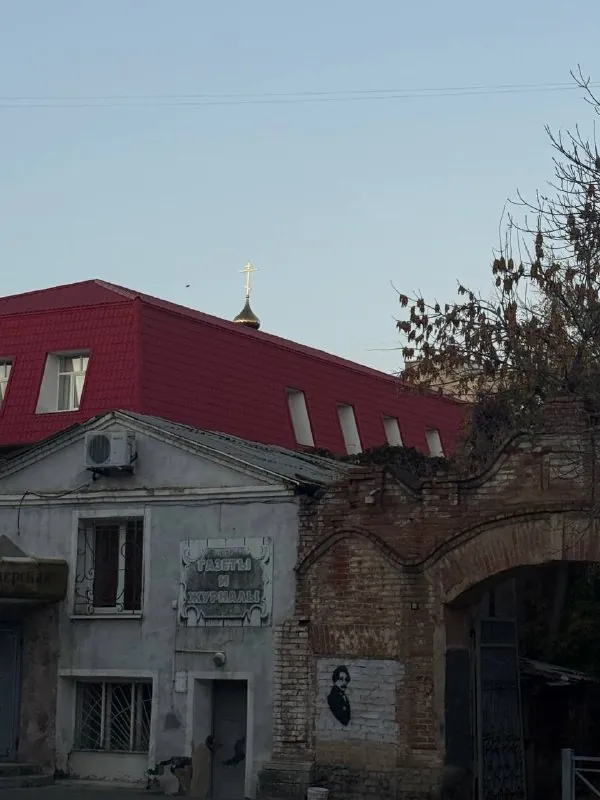 очень круто, что прогулки пока бесплатные 💛