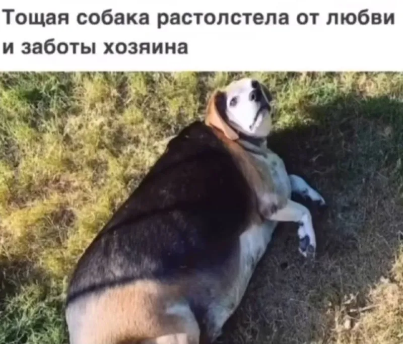 Когда попала в «добрые руки»😁