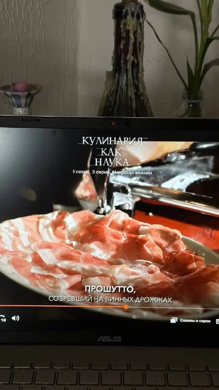 Очень рекомендую этот док на Кинопоиске для кулинарных дрочеров и интересующихся гедонизмом, граничащим с зависимостью…