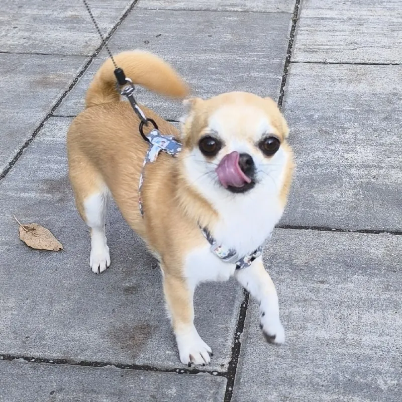 СОНЕЧКА🐾❤️