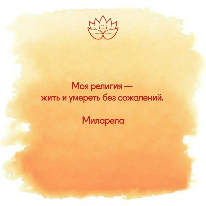 #мысль_полдня