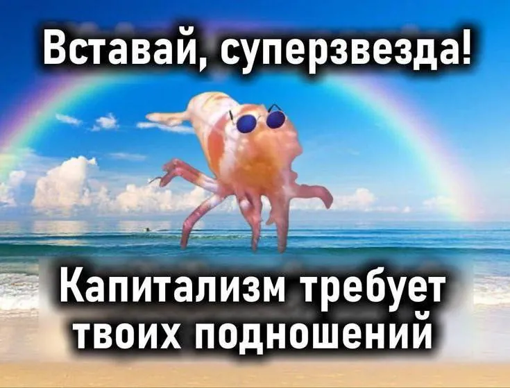 Доброго средового!
