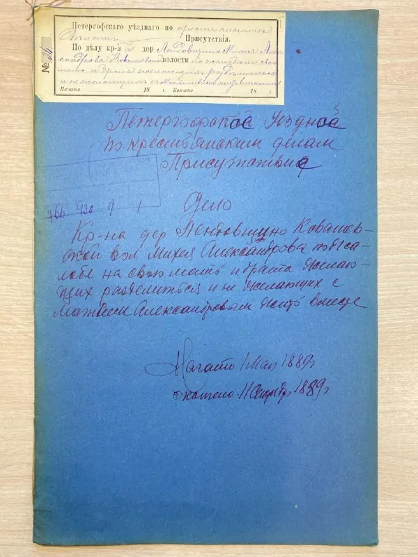 Сыночка-корзиночка, эмоционально недоступная мать и жилищный вопрос 1889 года.