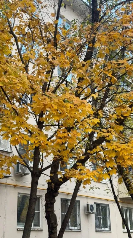 люблю свои будни 🤩🤩