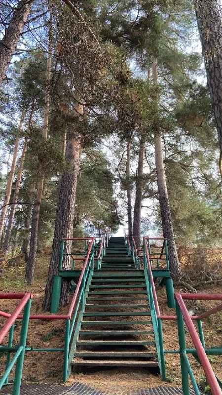 Добре прекрасное утро из под Рязани ❤️