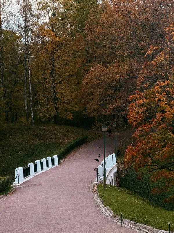 всё еще продолжаю выкладывать Петербург!