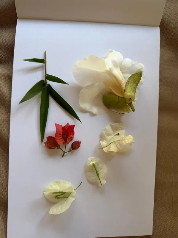Много думаю о красоте 🌸