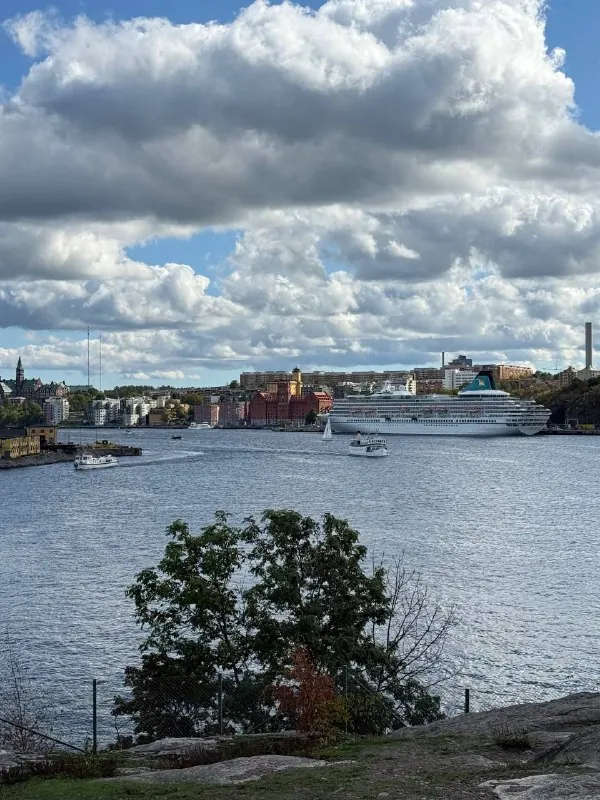 Странности Швеции моими глазами 🇸🇪…