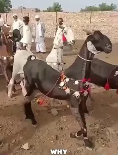Доброго дня.