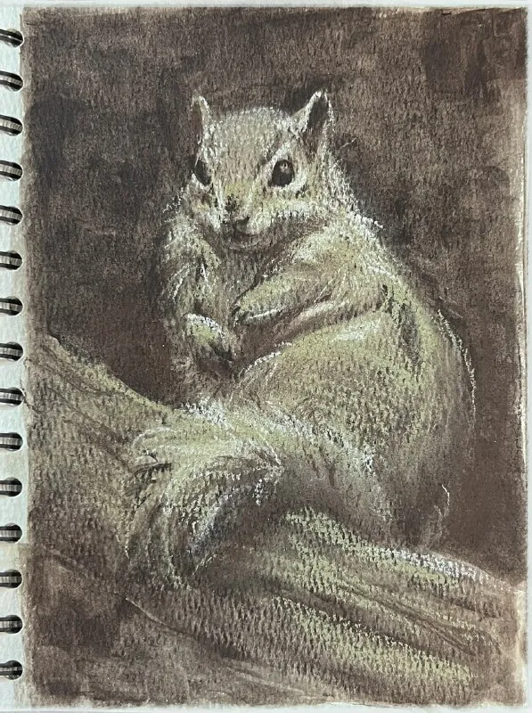 22/31 🐿