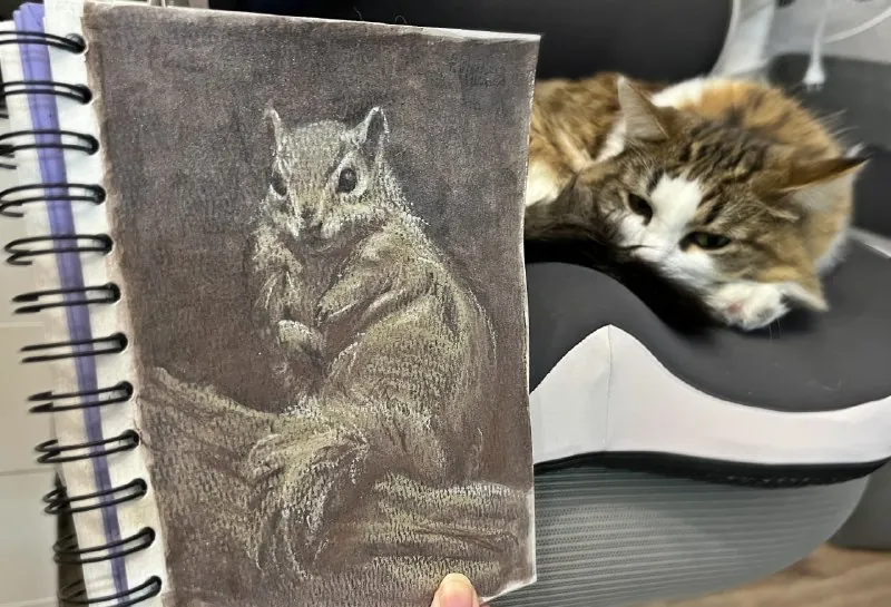22/31 🐿