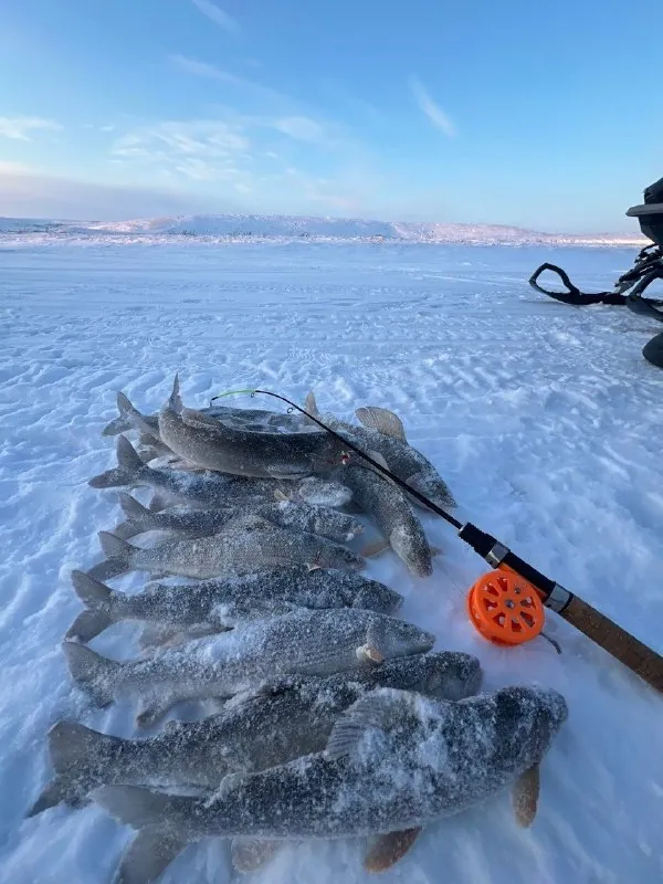 🎣 Мужики, уже думаете, куда на рыбалку в 2027 году?