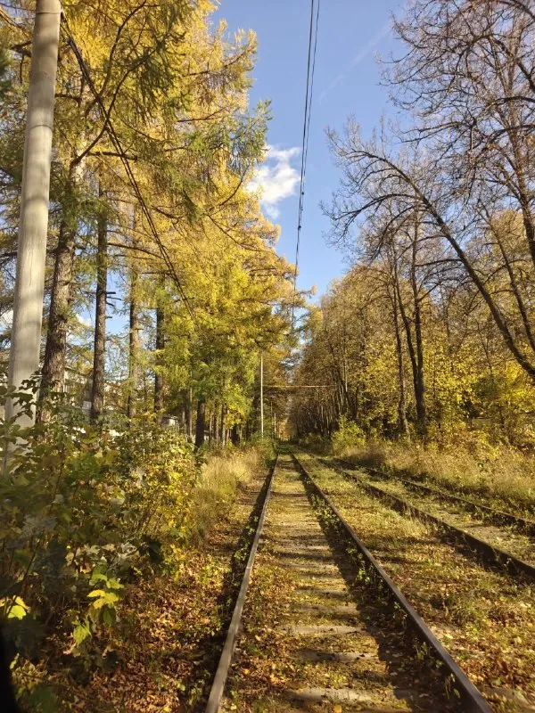 Новая неделя — новая прогулка🍂🍂