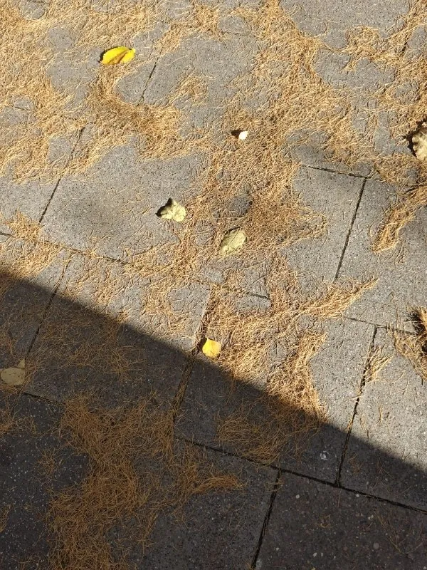 Новая неделя — новая прогулка🍂🍂
