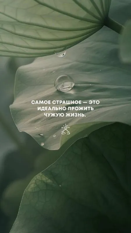Послание дня ✨