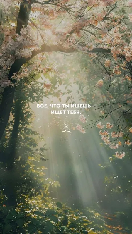 Послание дня ✨
