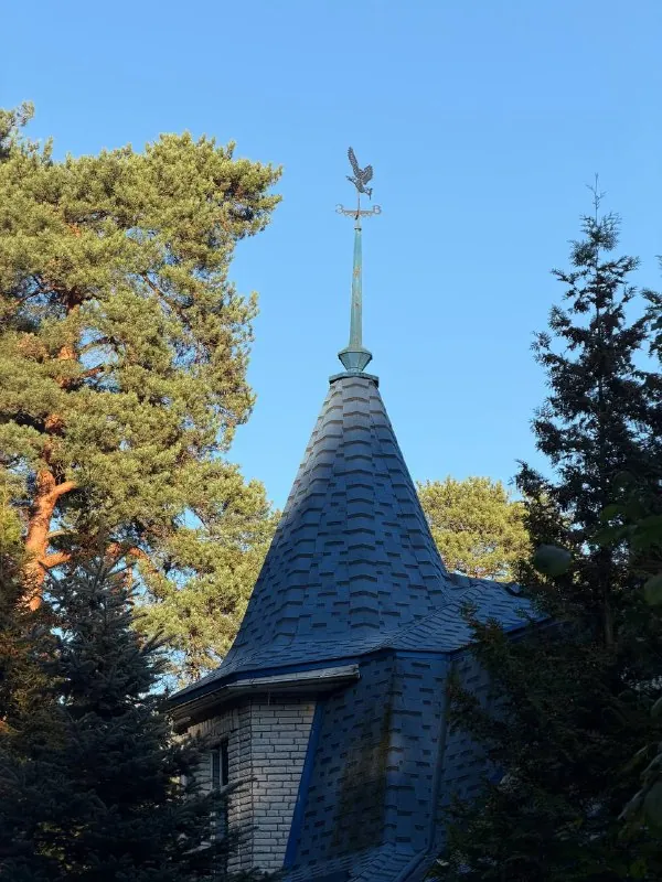 Только на заливе окончательно почувствовала, что вернулась в Спб☀️
