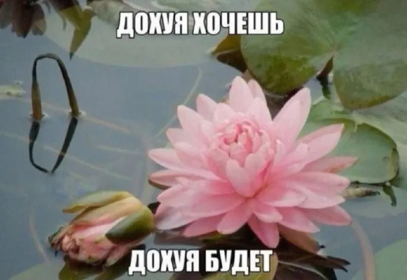 «в один день я просто уеду и удалю все свои аккаунты в соц сетях» 🧘‍♀️
