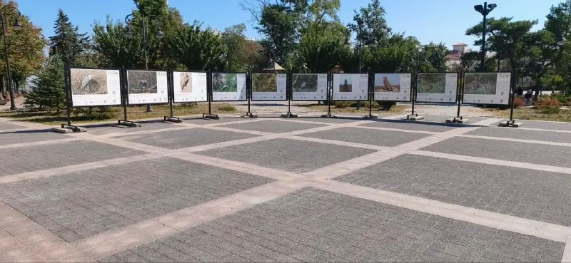 Простой, казалось бы, проект.
