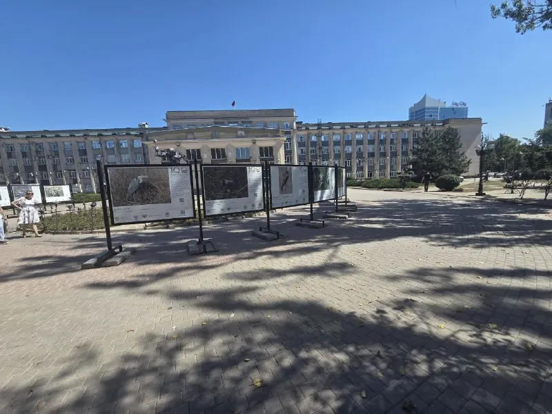 Простой, казалось бы, проект.