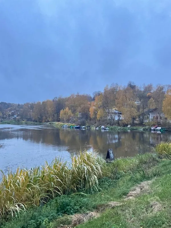 Кострома удивила.