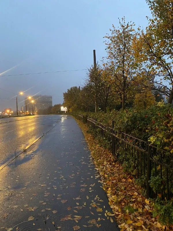 Посчитал что сегодня 12 ый день новой практики.