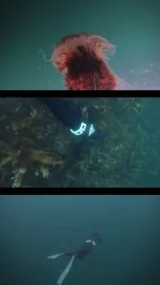 Вот, знаете, есть что-то очень притягательное в северных морях