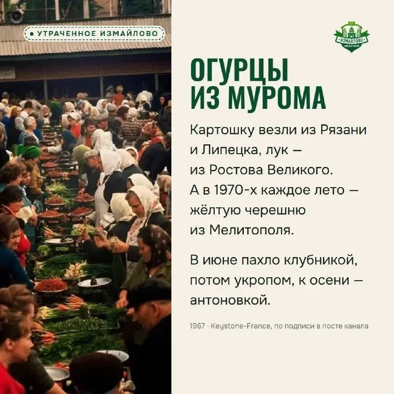 Колхозный рынок на 3-й Парковой: забор, калитка и варенец в стаканах