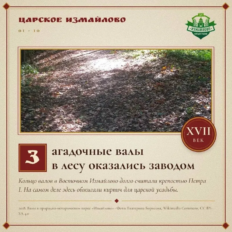 Загадочные валы в лесу оказались заводом