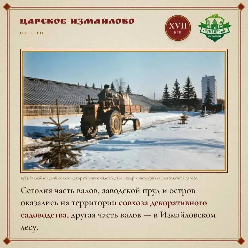 Загадочные валы в лесу оказались заводом