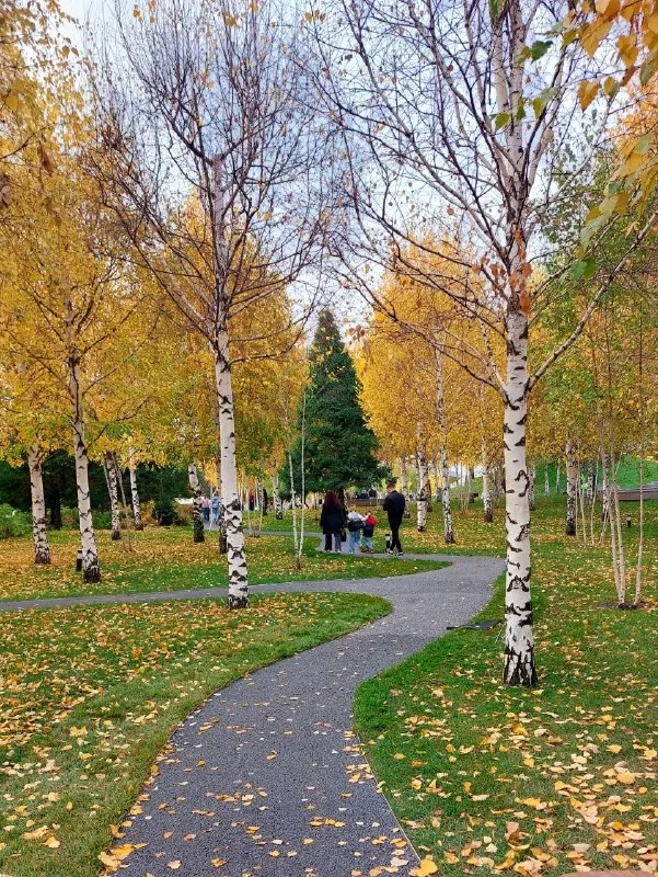 🍁 Золотая осень (и немножко зайцев)