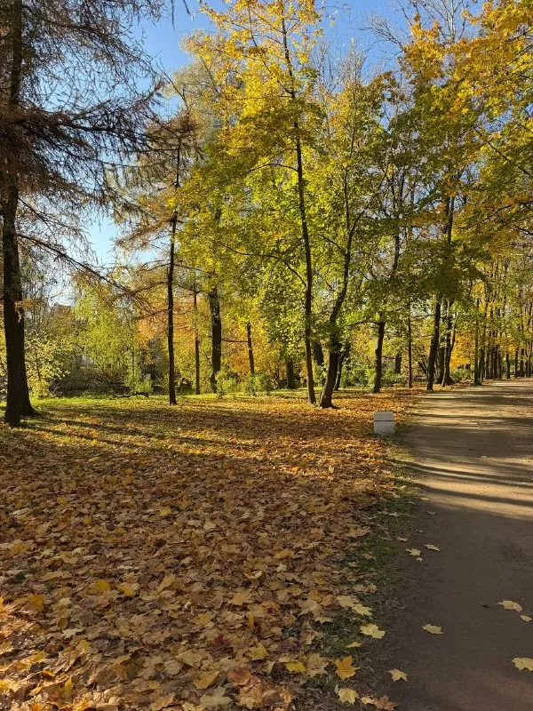 Осень в Петербурге просто сказочная.