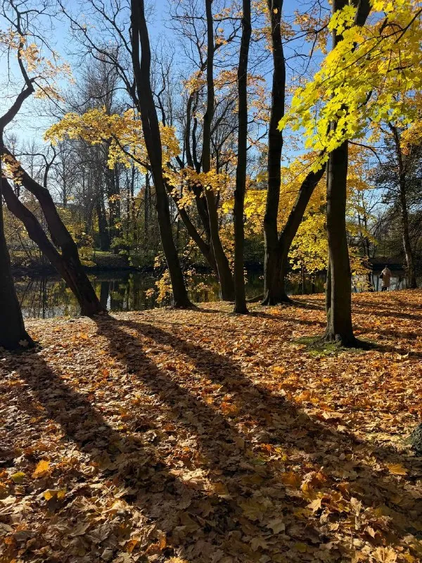Осень в Петербурге просто сказочная.