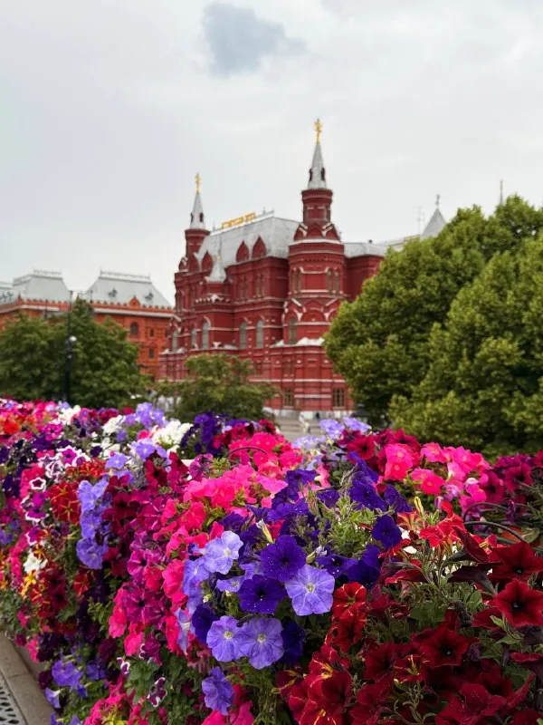 Как ощущается жизнь, когда последний сложный экзамен позади?