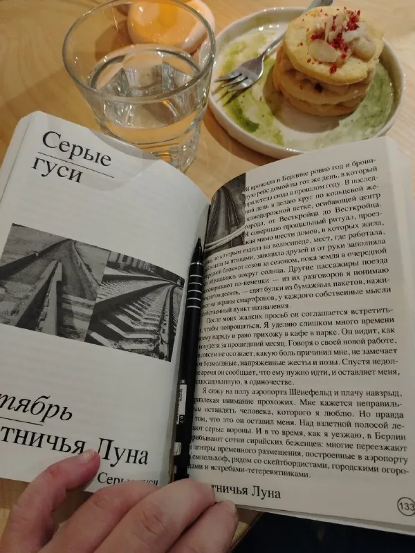 #Дневникопавшихлистьев