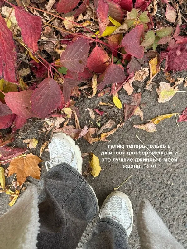 устроили свидание ₊˚⊹ ᰔ