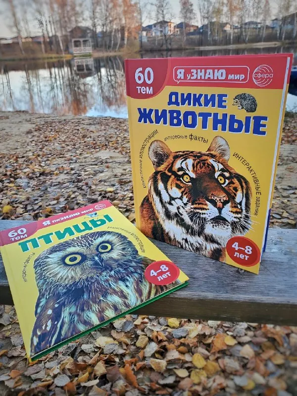 📚Люблю, когда в детских энциклопедиях нет перегруза информацией, но при этом всё разложено по полочкам.
