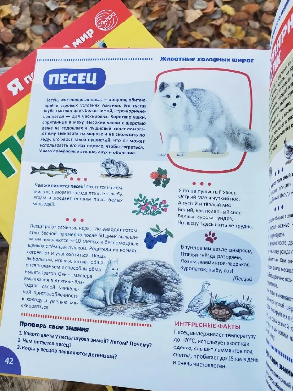 📚Люблю, когда в детских энциклопедиях нет перегруза информацией, но при этом всё разложено по полочкам.