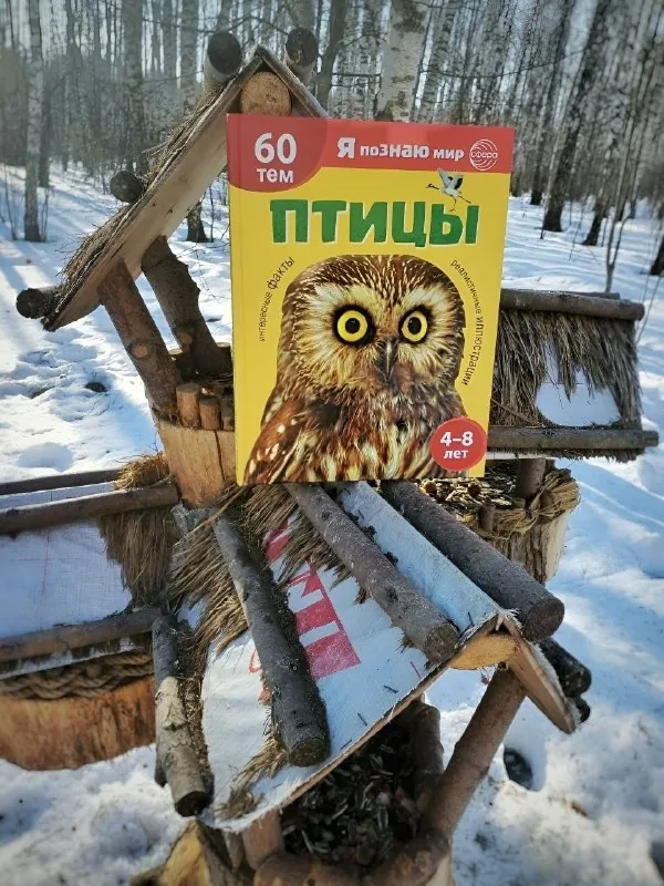 📚Люблю, когда в детских энциклопедиях нет перегруза информацией, но при этом всё разложено по полочкам.
