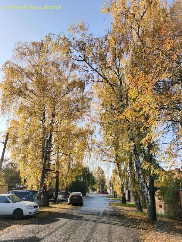 Солнце озарило деревенские улицы 🏡🍁
