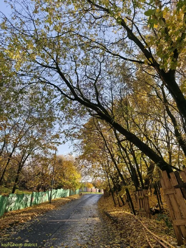 Солнце озарило деревенские улицы 🏡🍁